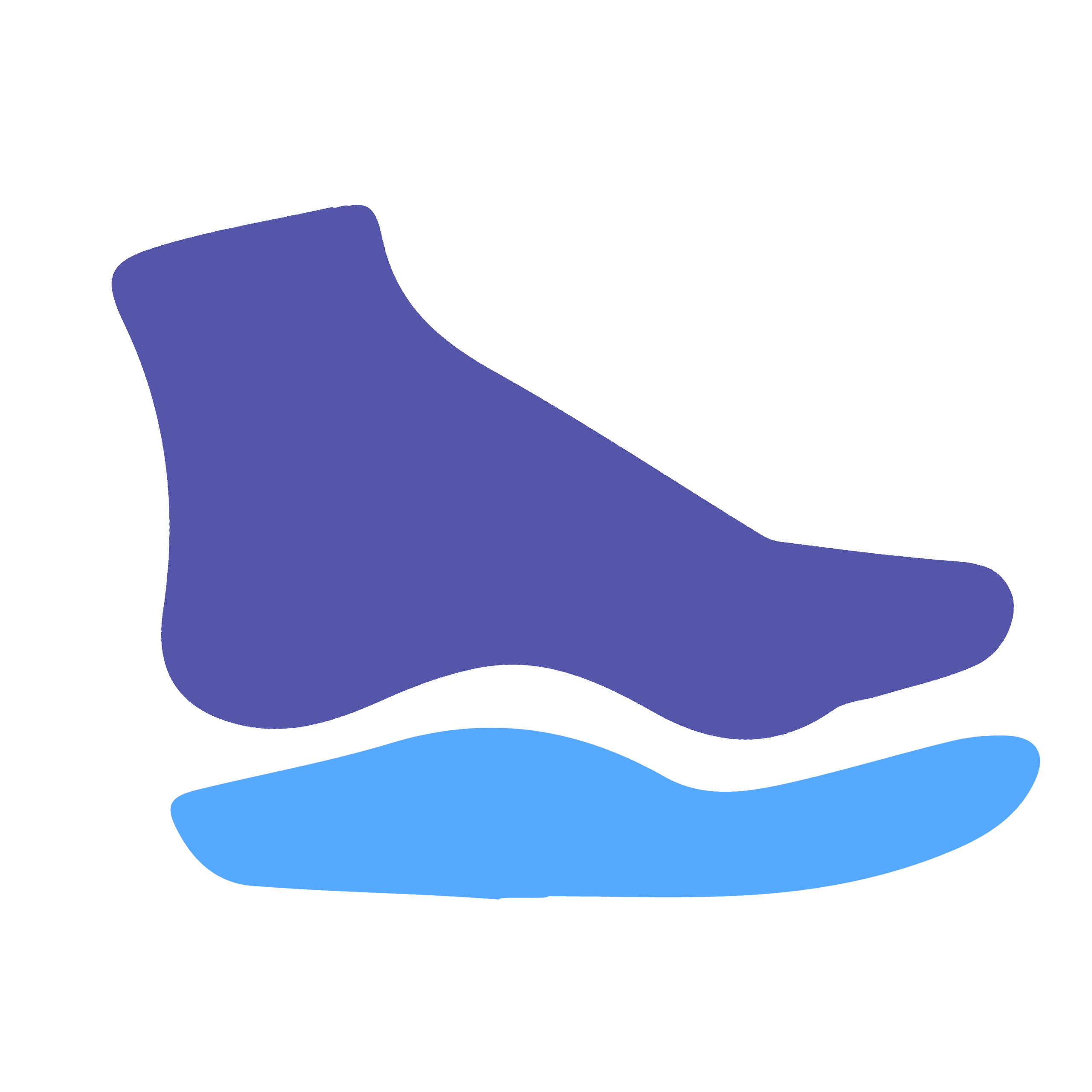 Biomechanical Assessment / Orthotic Prescription